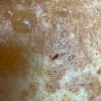 Best Poori in Brooklyn, NY